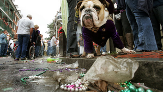 Happy Fat Tuesday: Top 10 Alcohol & Boobie Related Gadgets